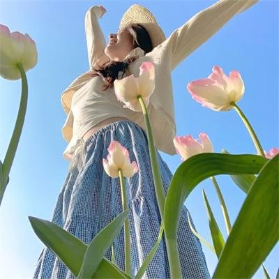 蝴蝶梦