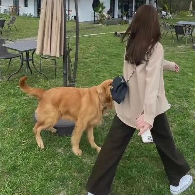 非正式会谈第八季